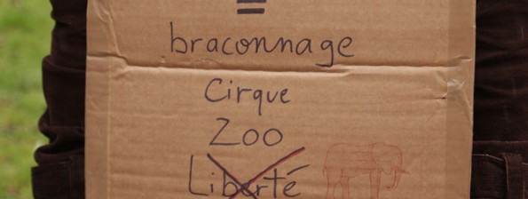 Pancarte Pancarte