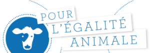 logo_header-300x107 logo_header-300x107